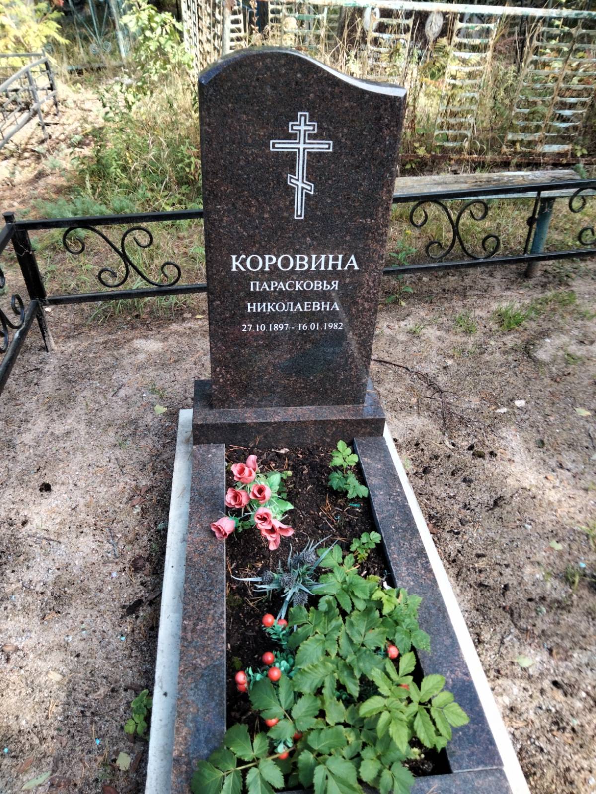 Коровина Парасковья Николаевна