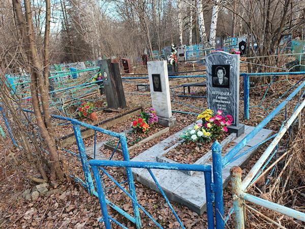 Нетунаев Александр Александрович