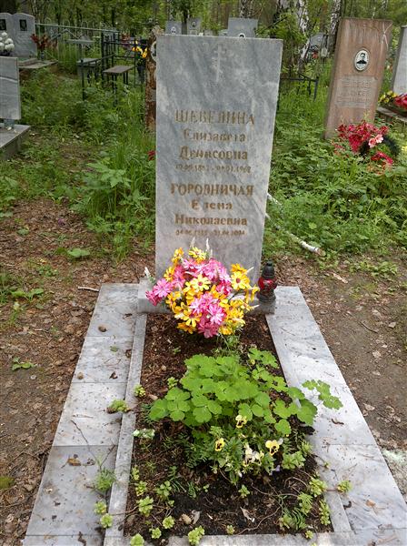 Городничая Елена Николаевна