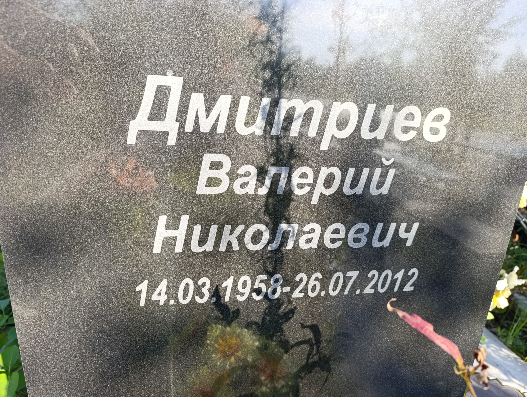 Дмитриев Валерий Николаевич