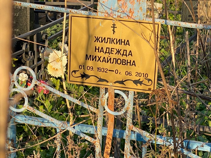 Жилкина