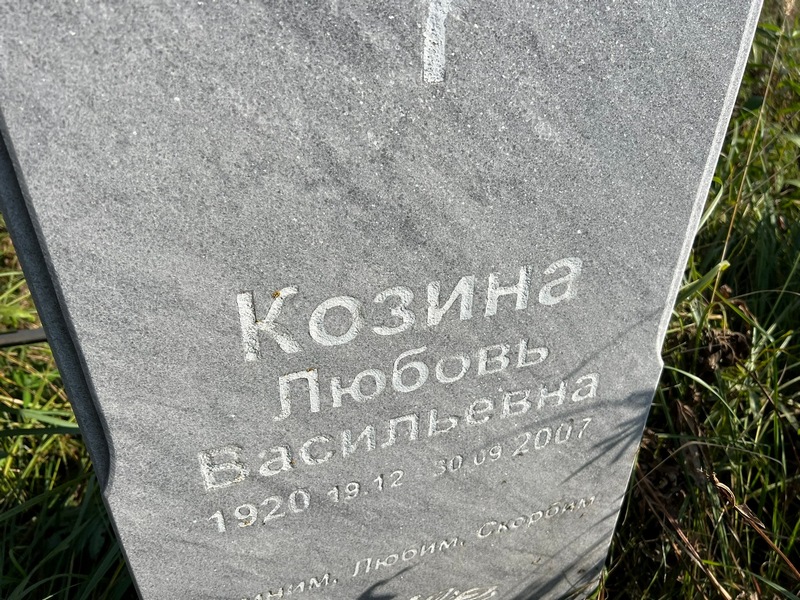 Козина
