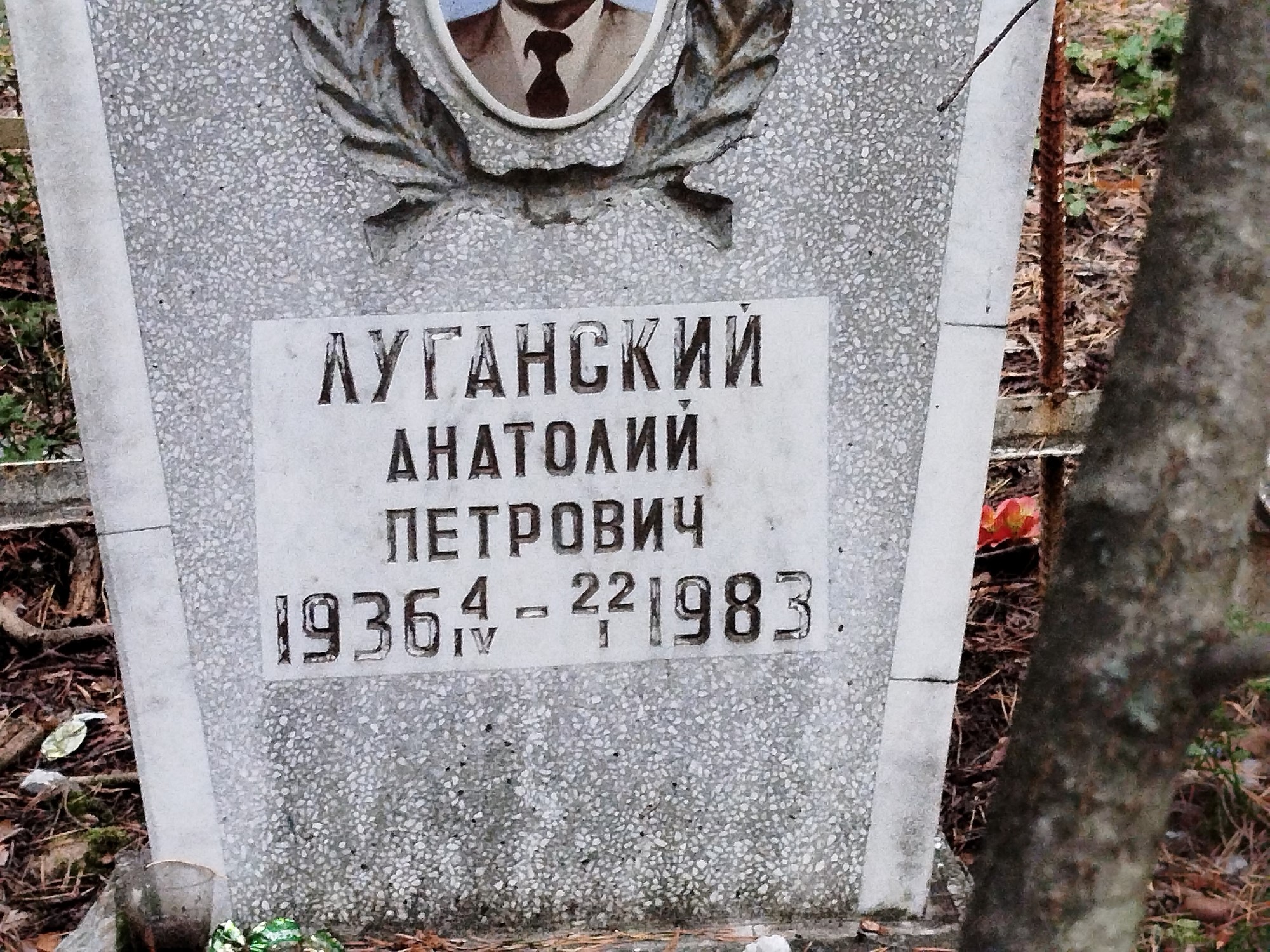 Луганский Анатолий Петрович