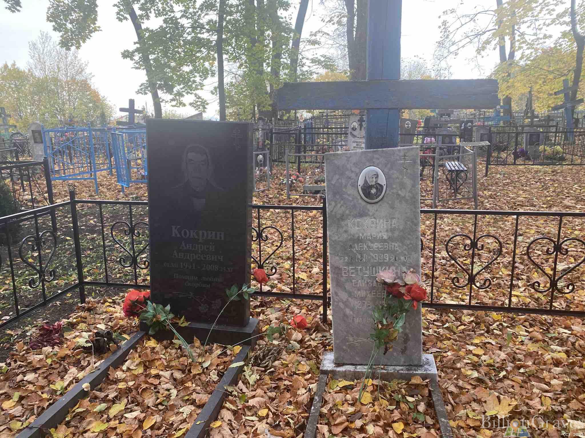 Кокрина Мария Алексеевна