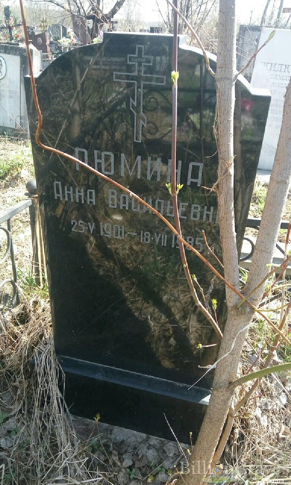 Рюмина Анна Васильевна