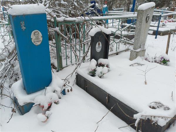 Еманова Анна Петж