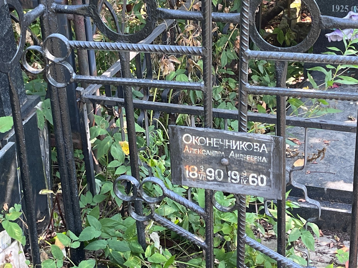 Оконечникова Александра Андреевна