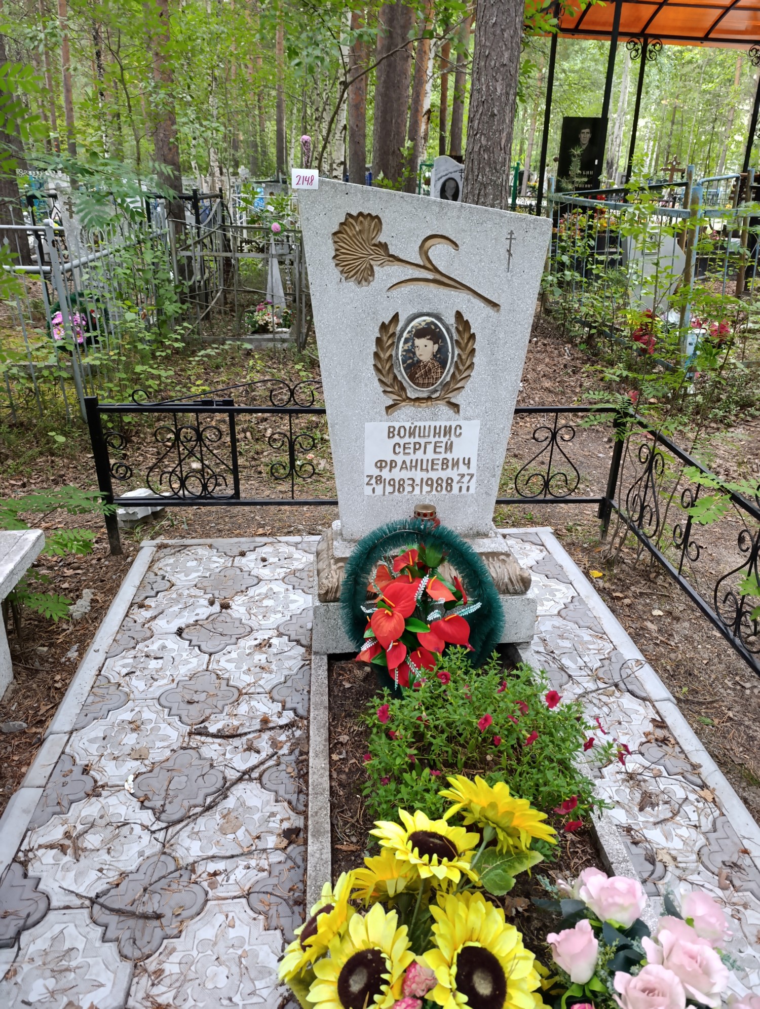 Войшнис Сергей Францевич