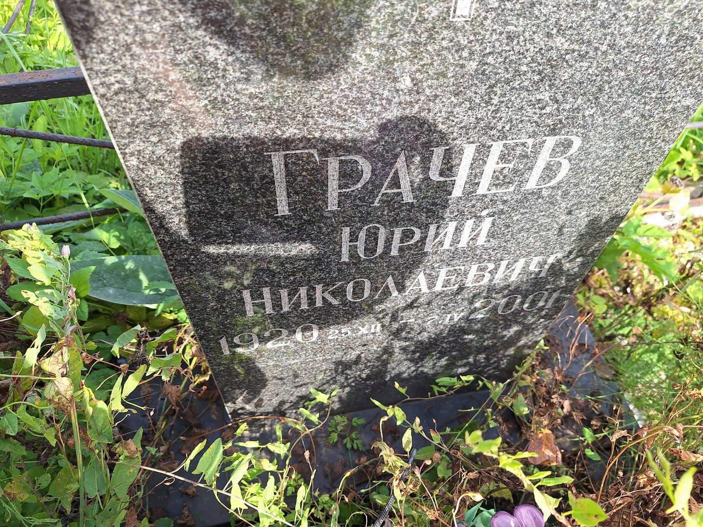 Грачев