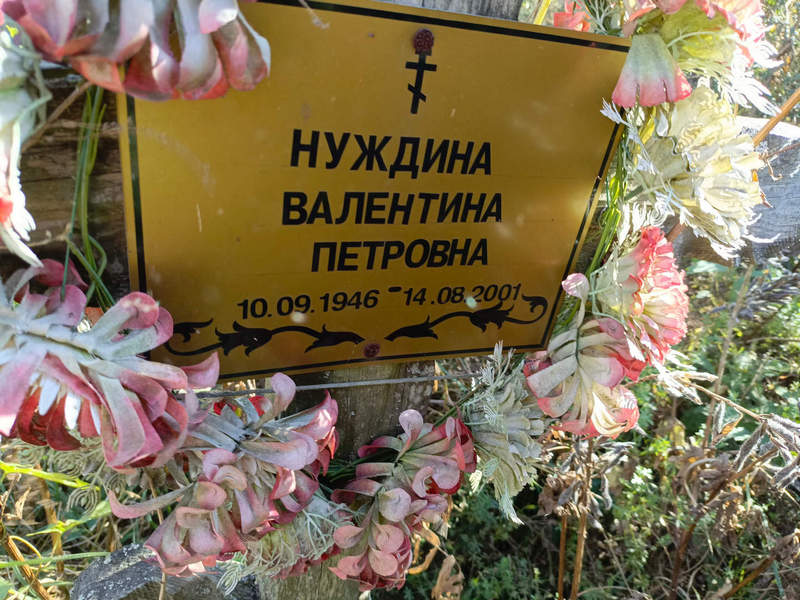 Нуждина