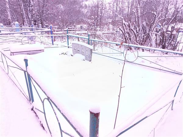 Широкшина Елена Георгиевна