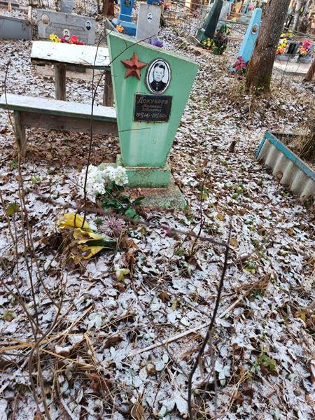 Докучаев Николай Иванович