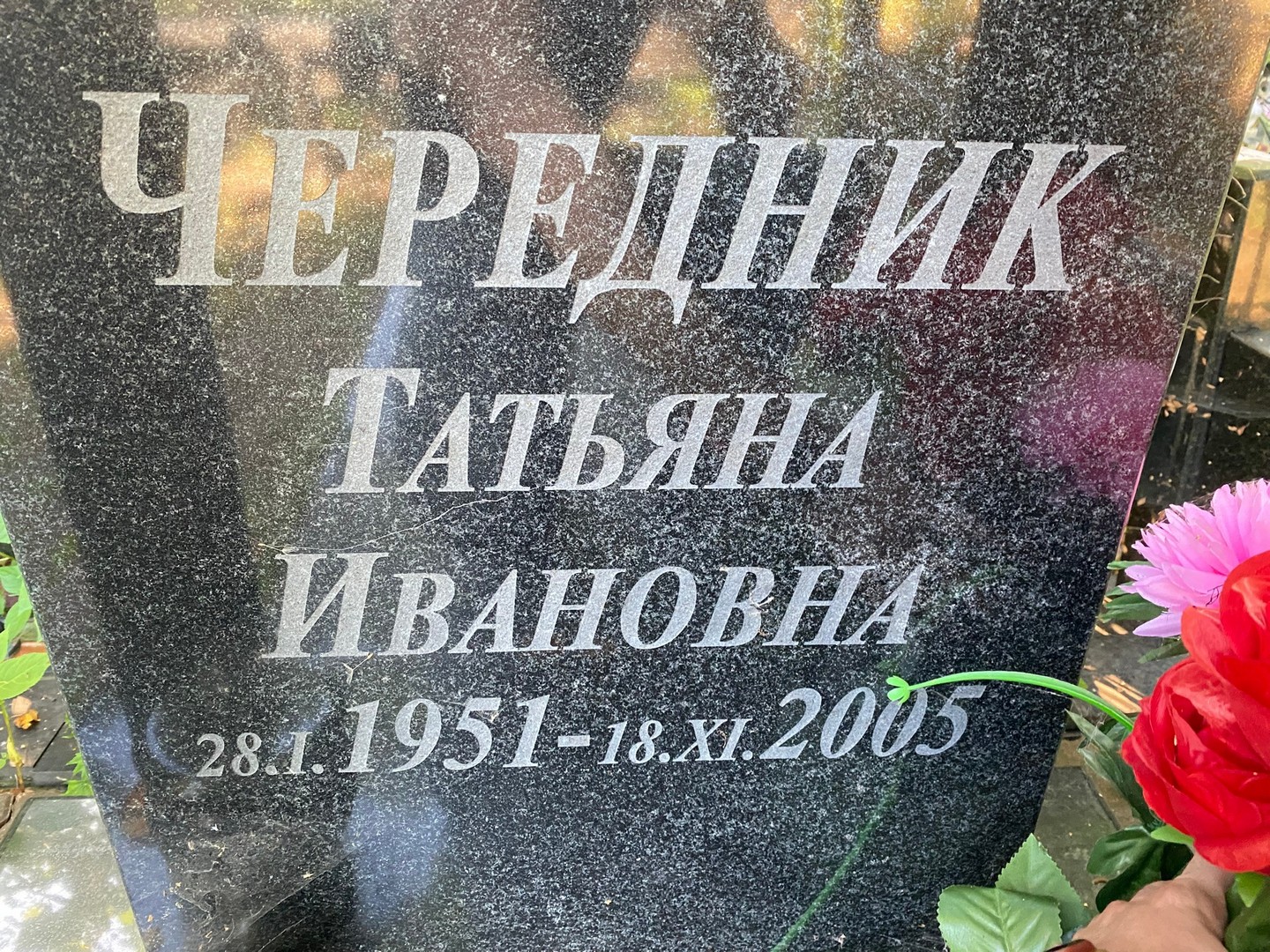 Чередник