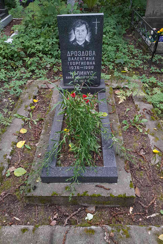 Дроздова Валентина Георгиевна