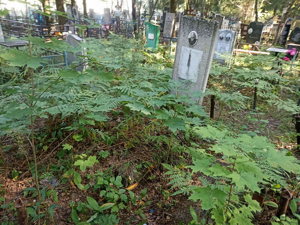 Самушкин Михаил Петрович