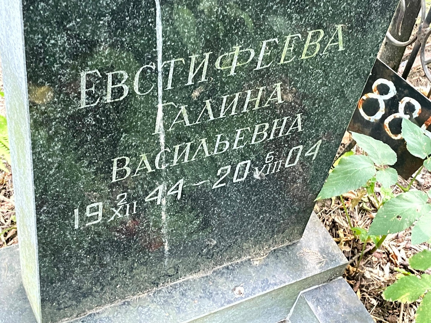Евстифеева