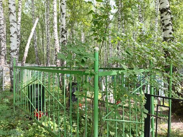 Яшин Николай Петрович