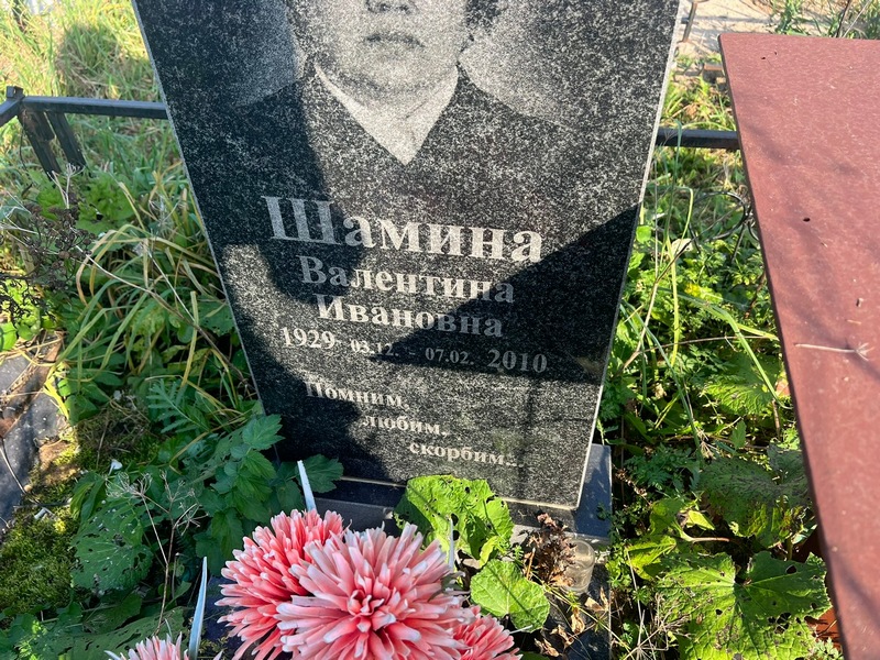 Шамина