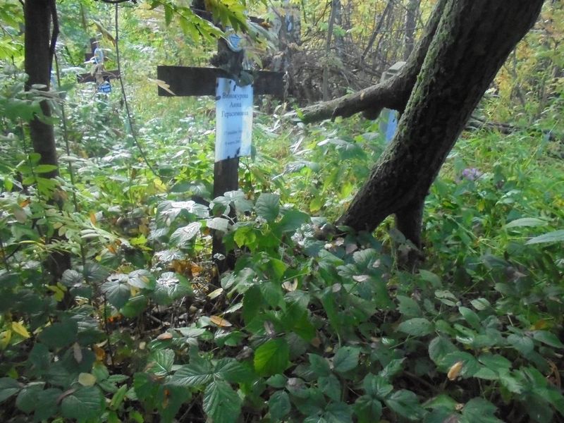 Винокурова Анна Герасимовна