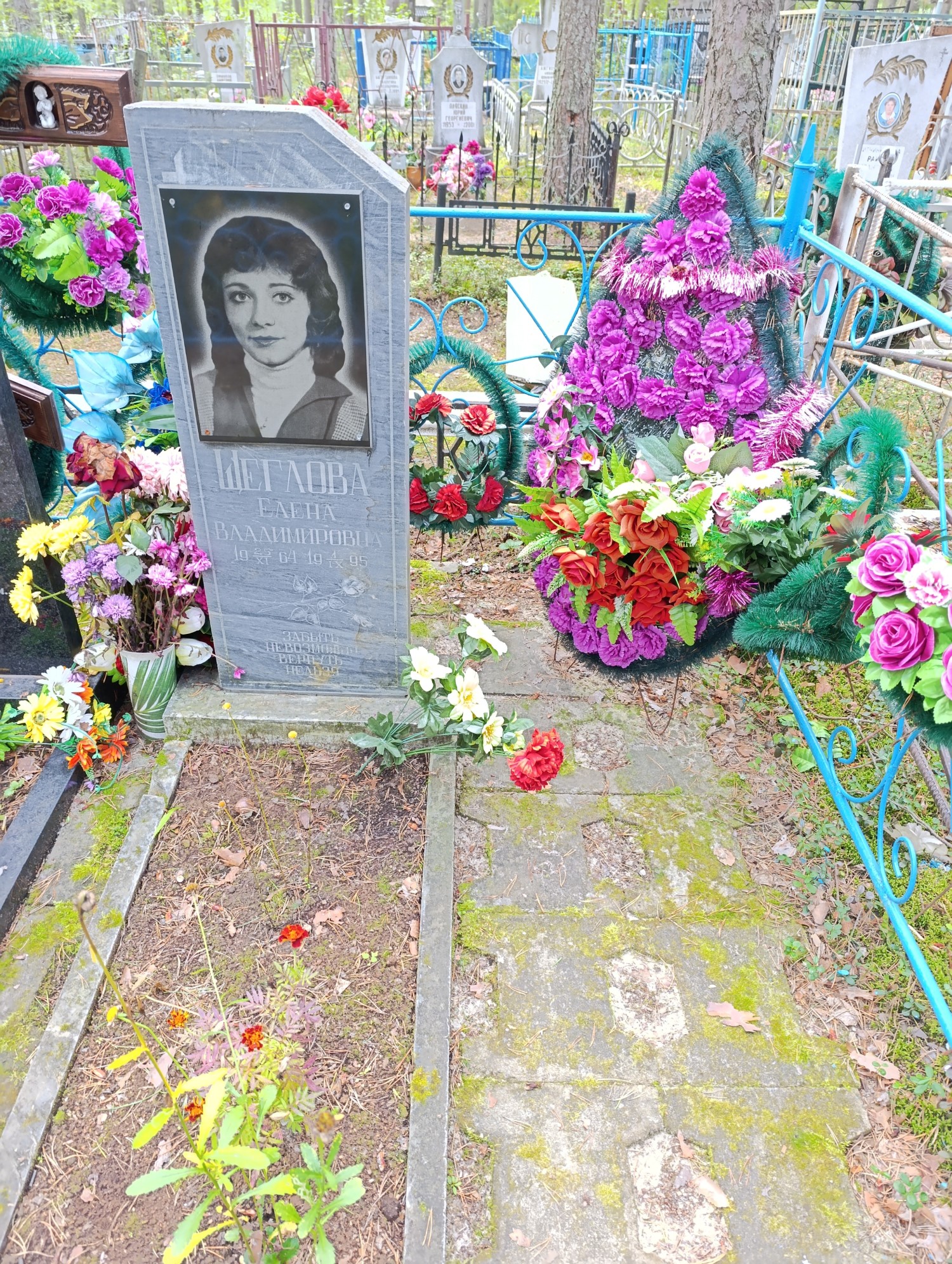 Щеглова Елена Владимировна