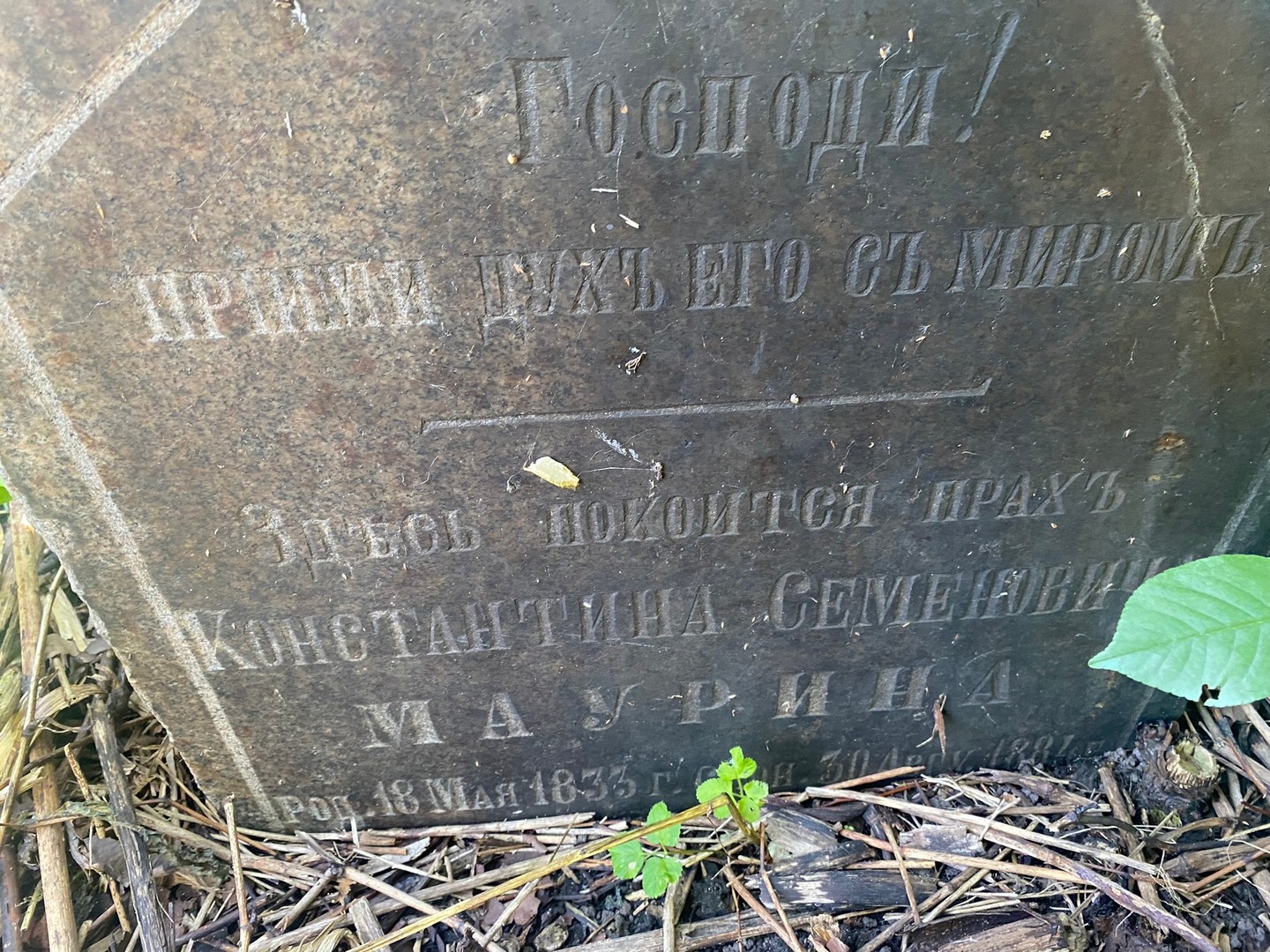 Маурин