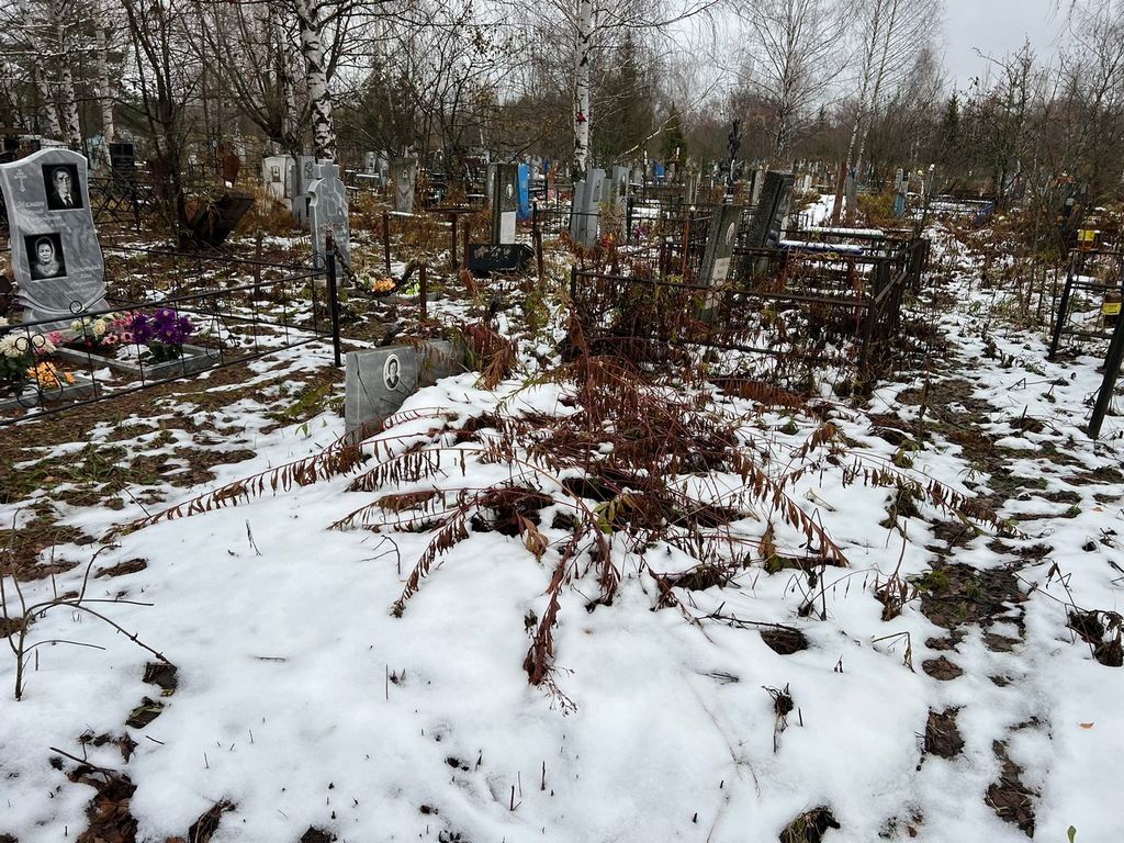 Соколова Анна Николаевна