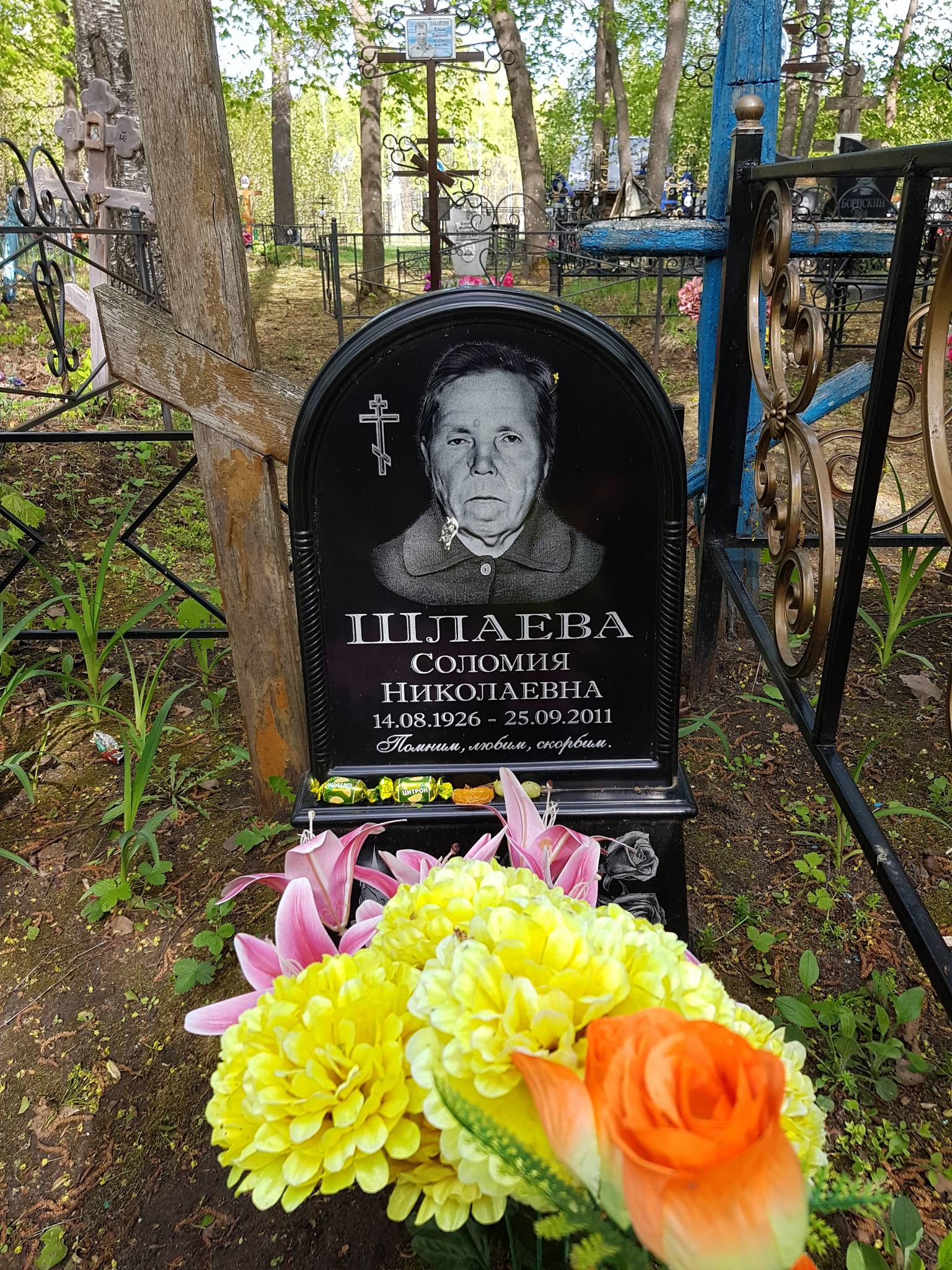 Шлаева Соломия Николаевна