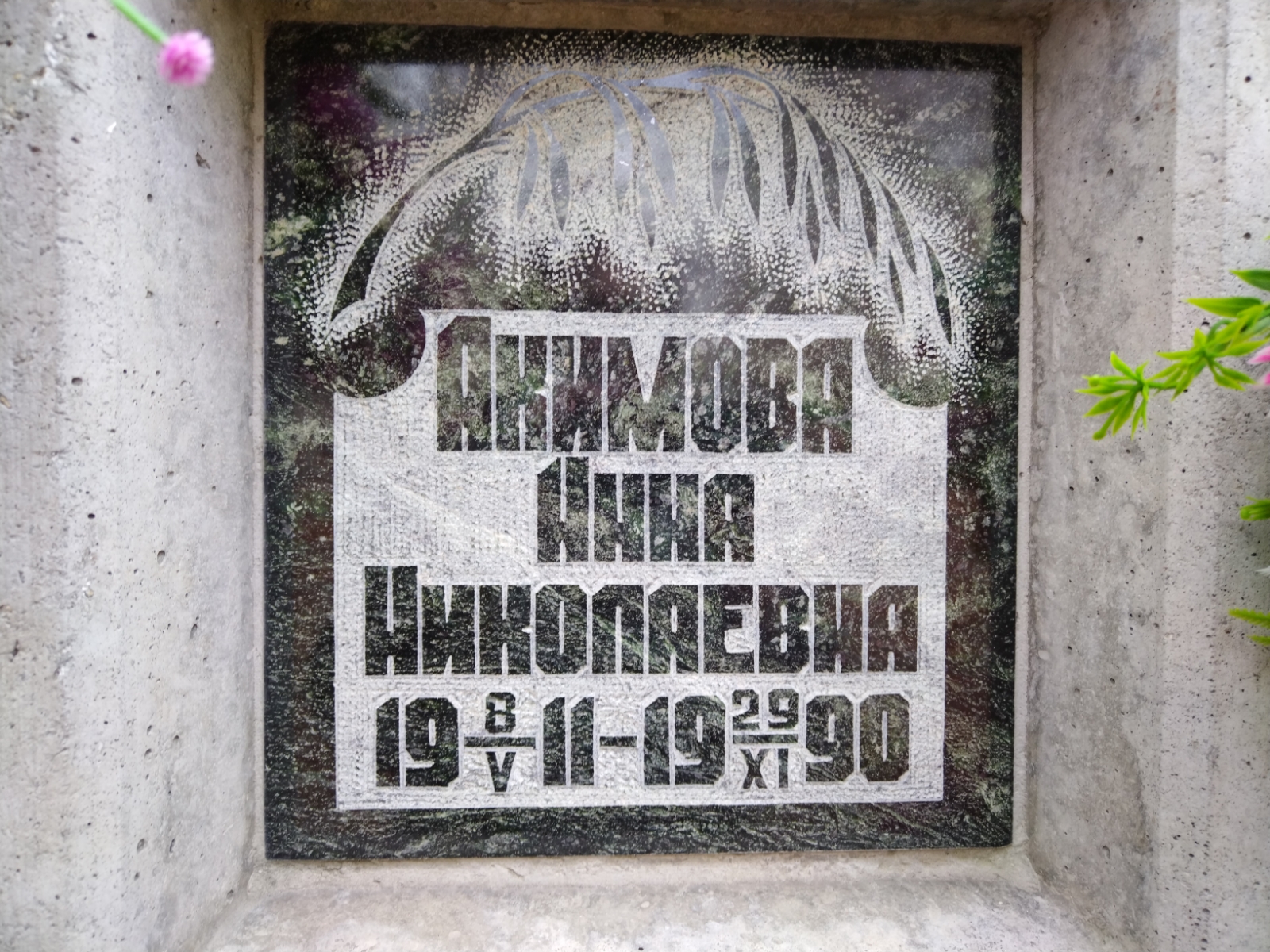 Акимова Анна Николаевна