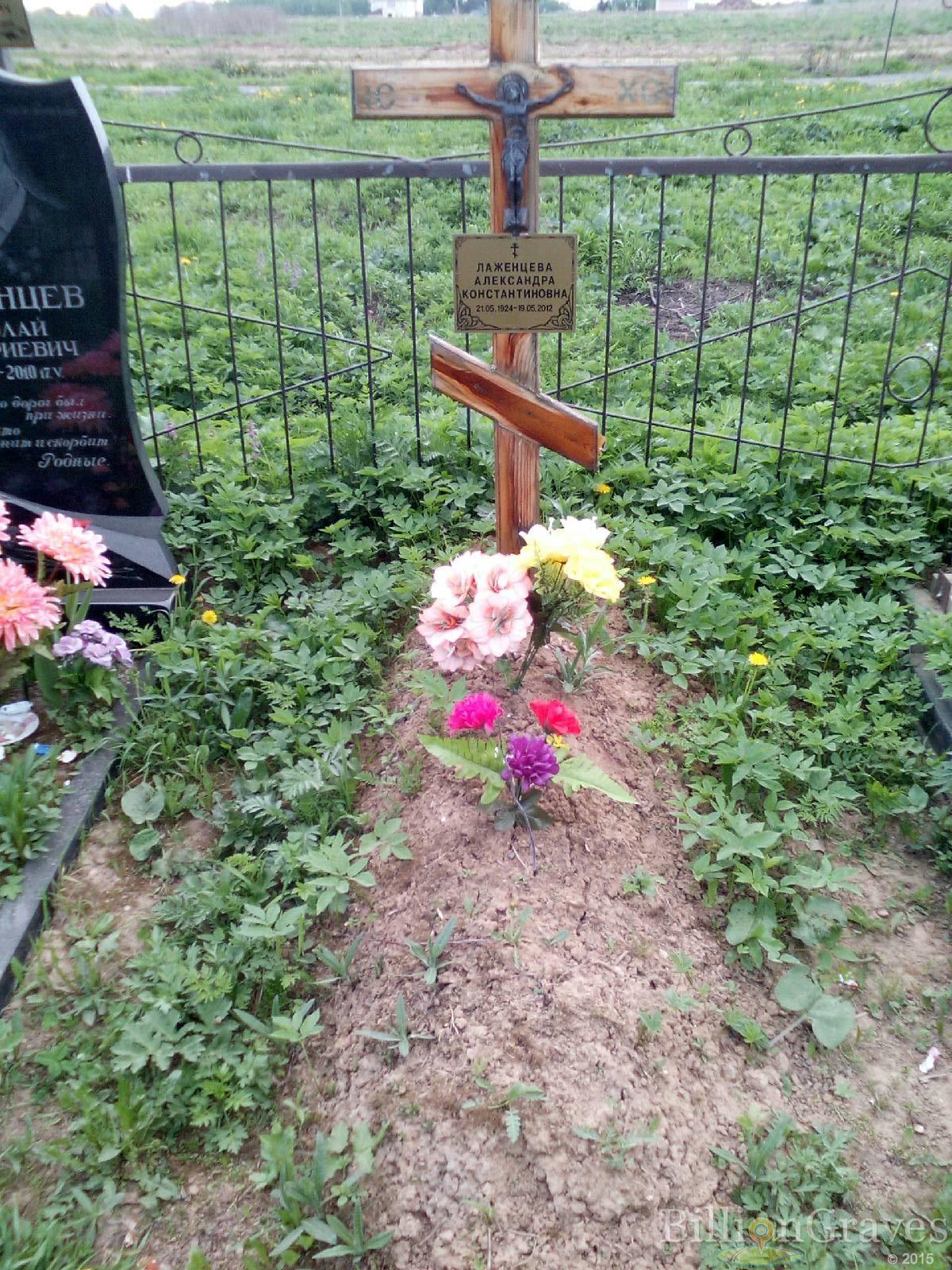 лаженцева александра константиновна