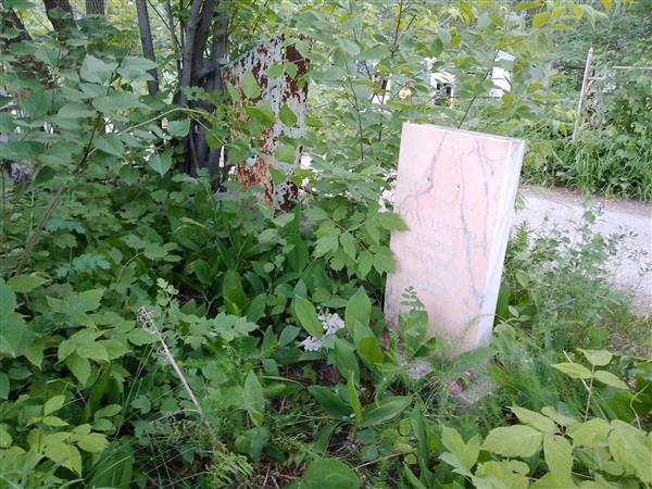 Хохолкова Мария Петровна