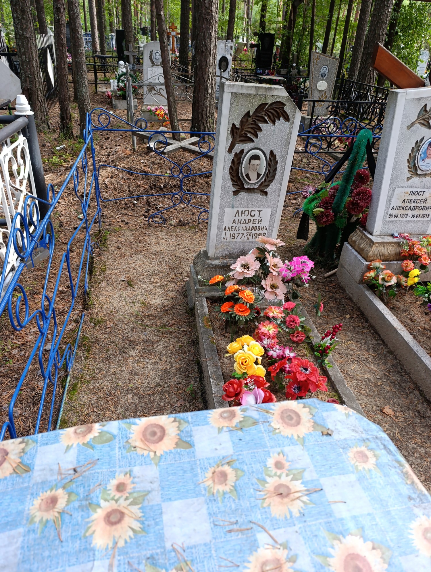 Люст Андрей Александрович