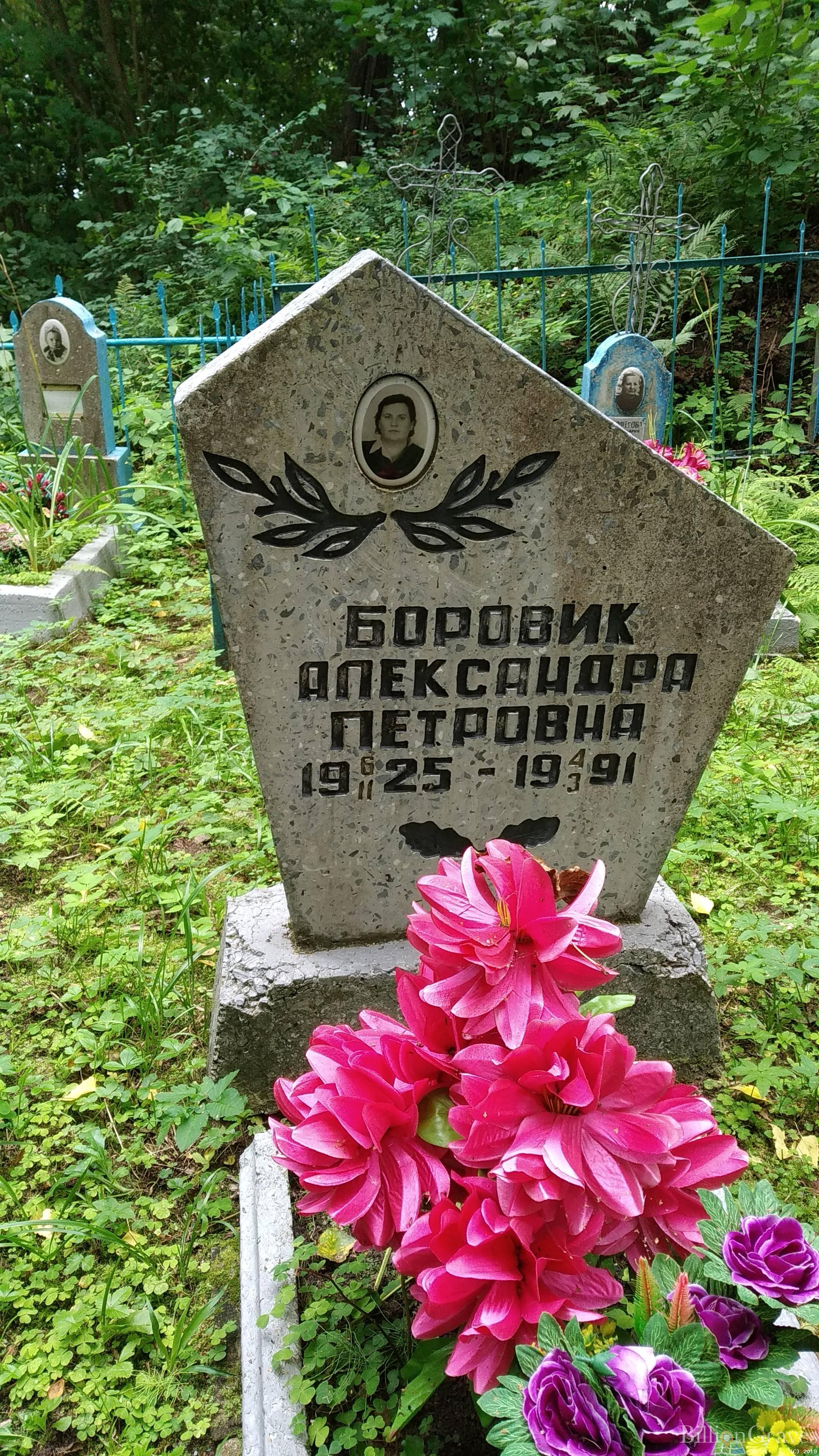 Боровик Александра Петровна