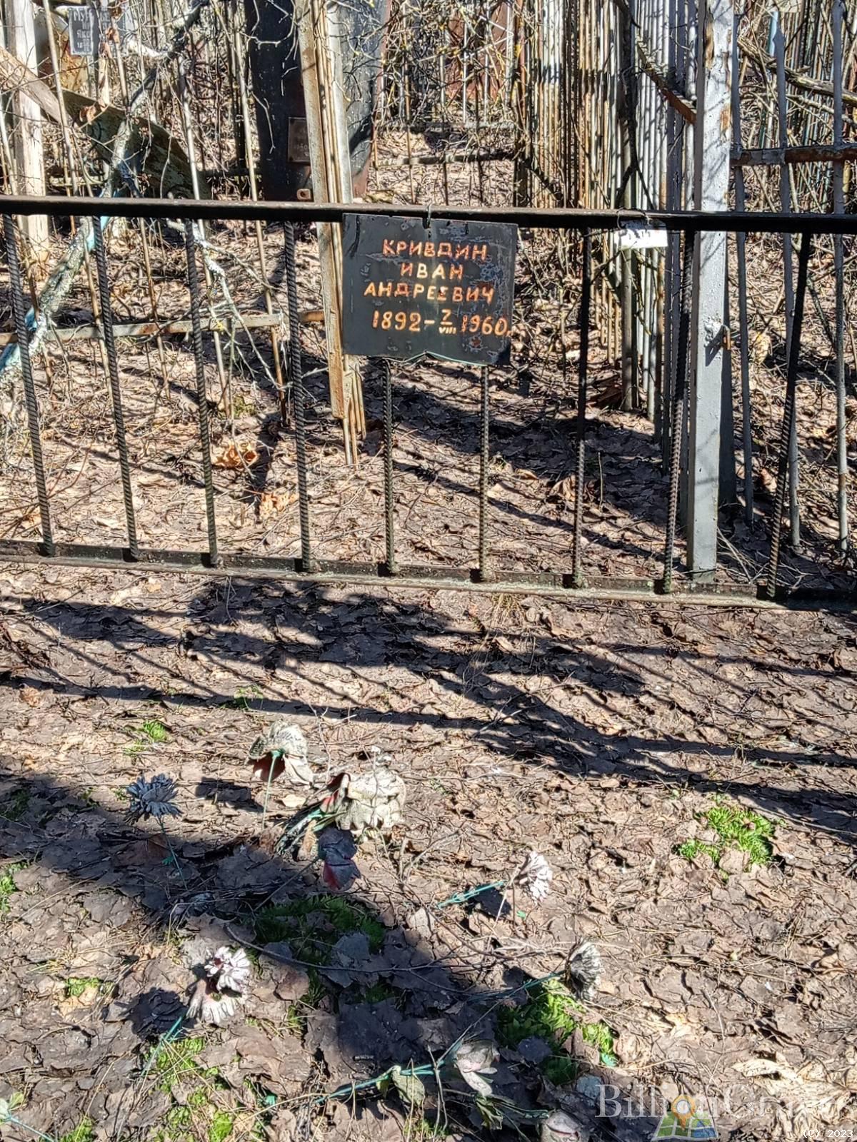 Кривдин Иван Андреевич