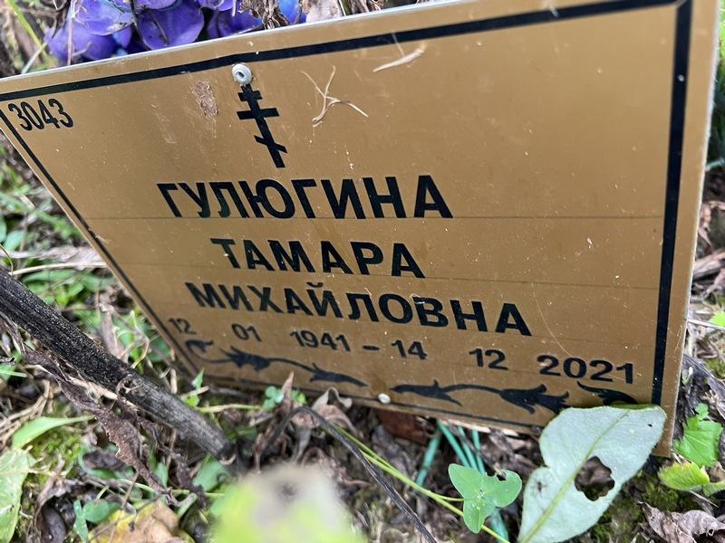 Гулюгина