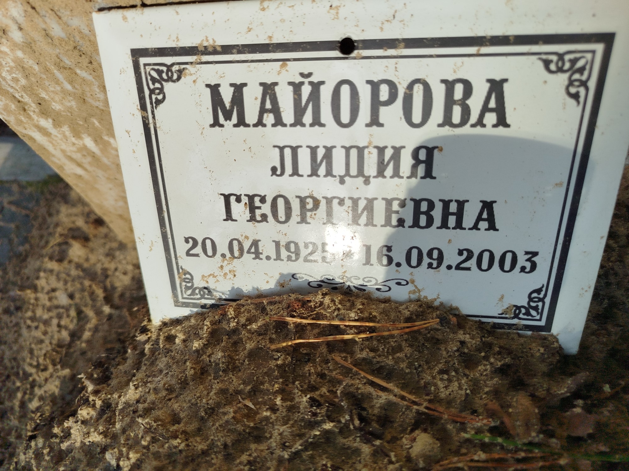 Майорова Лидия Георгиевна