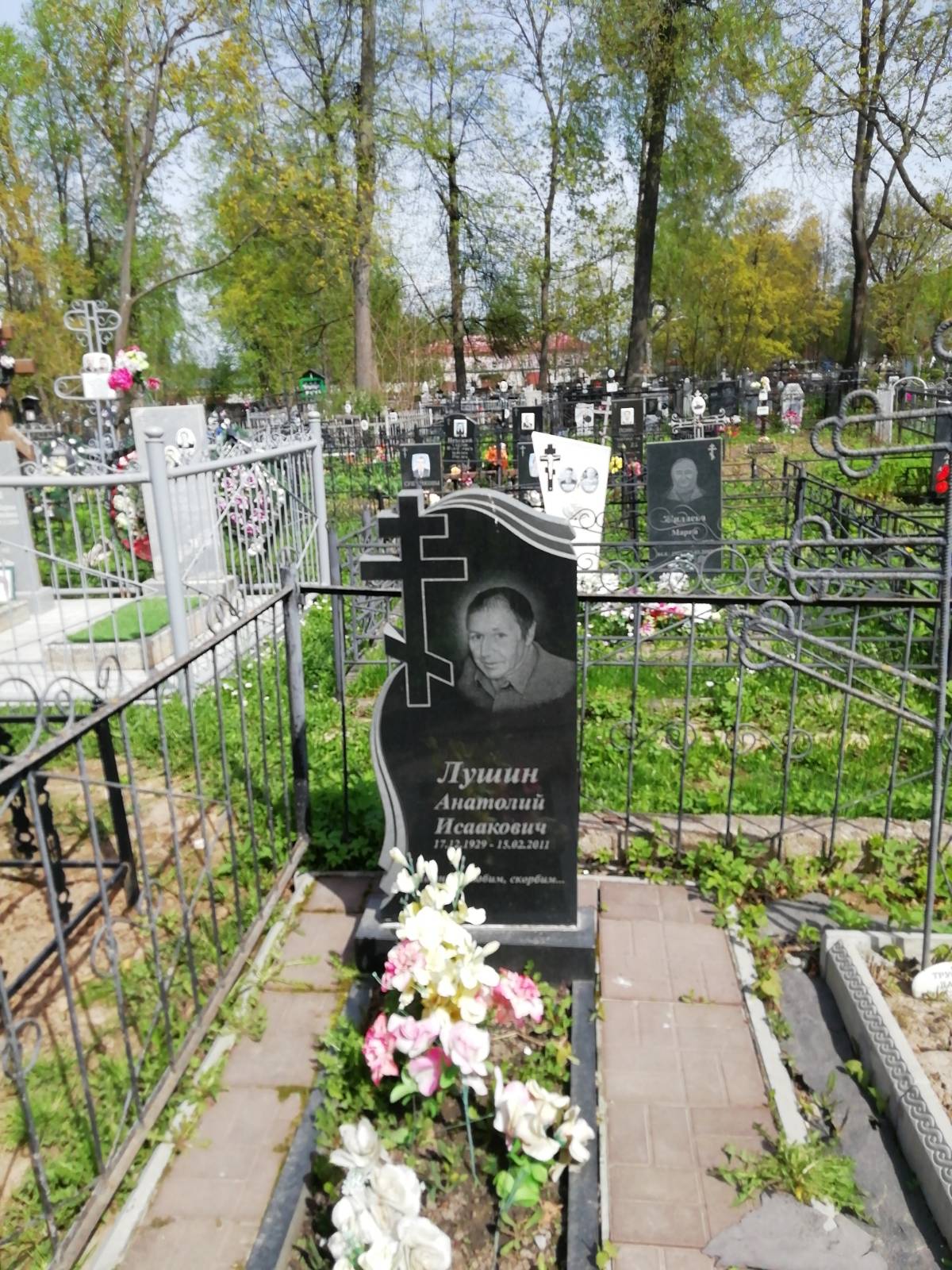 Лушин Анатолий Исаакович