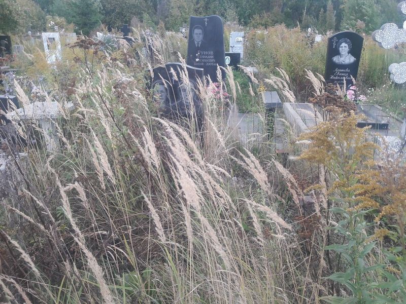 Грехова Клавдия Алексеевна