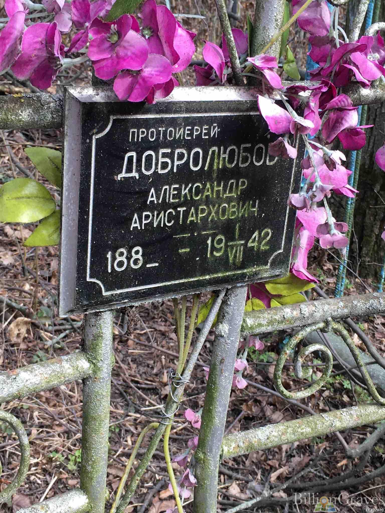Добролюбов Александр Аристархович