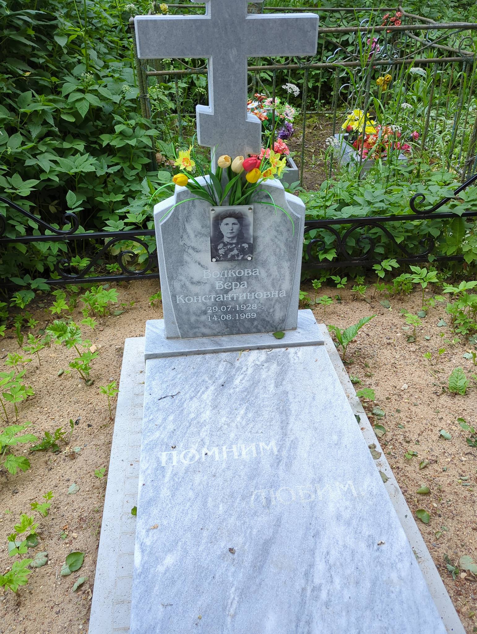 Волкова Вера Константиновна