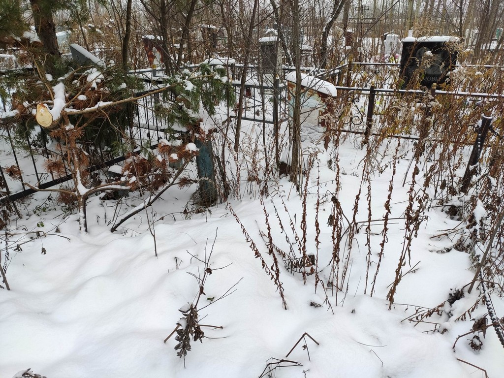 Евстигнеев Михаил Семенович