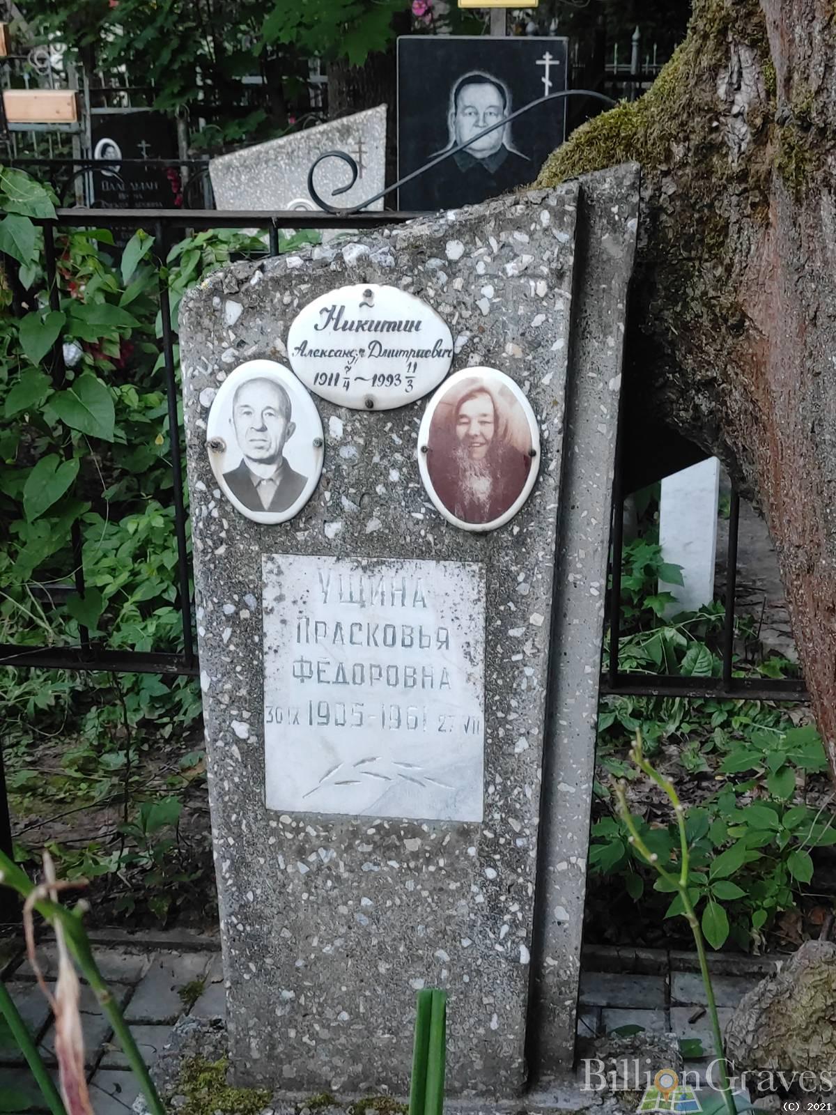 Никитин Александр Дмитриевич