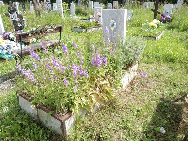 Вохминцева Анна Георгиевна