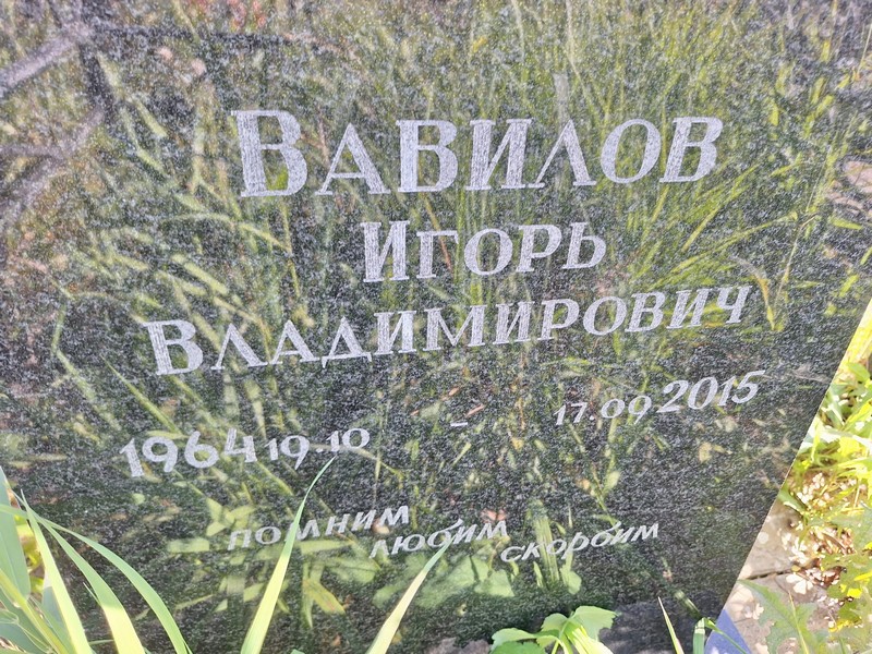 Вавилов