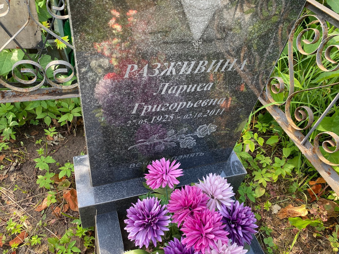 Разживина