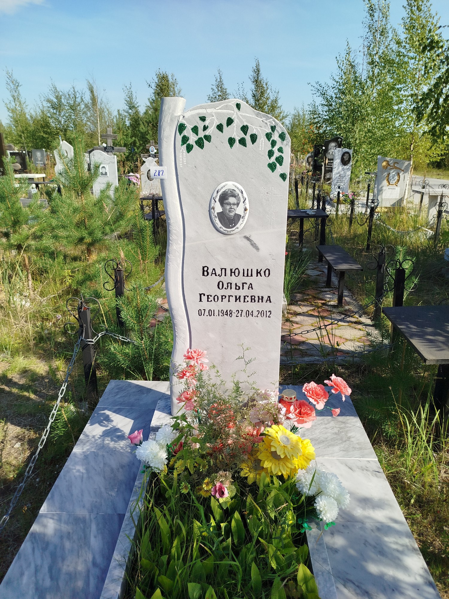 Валюшко Ольга Георгиевна