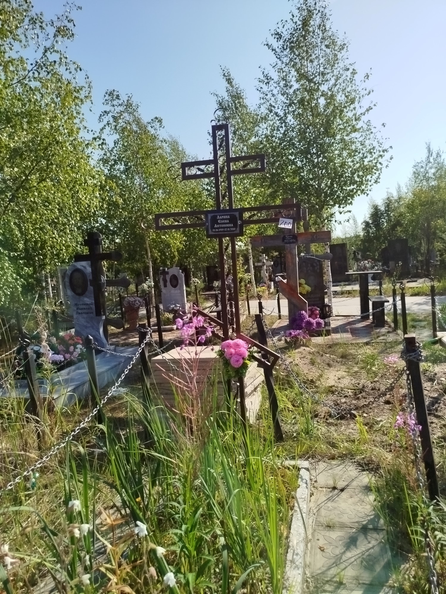 Ларина Елена Антоновна