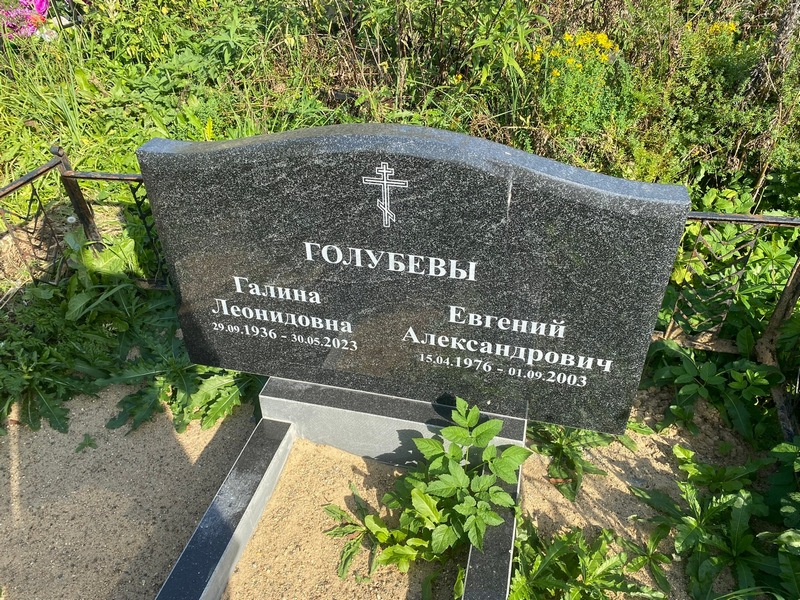 Голубев
