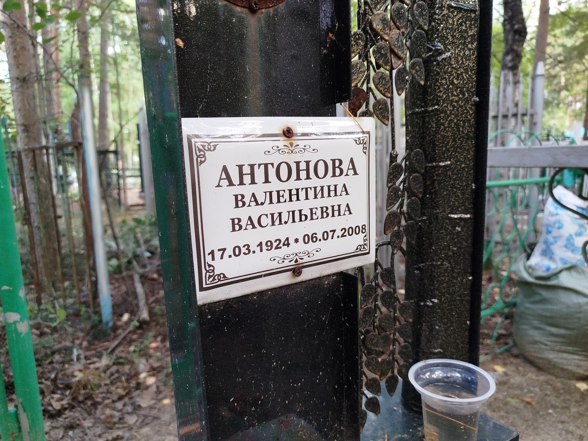 Антонова Валентина Васильевна