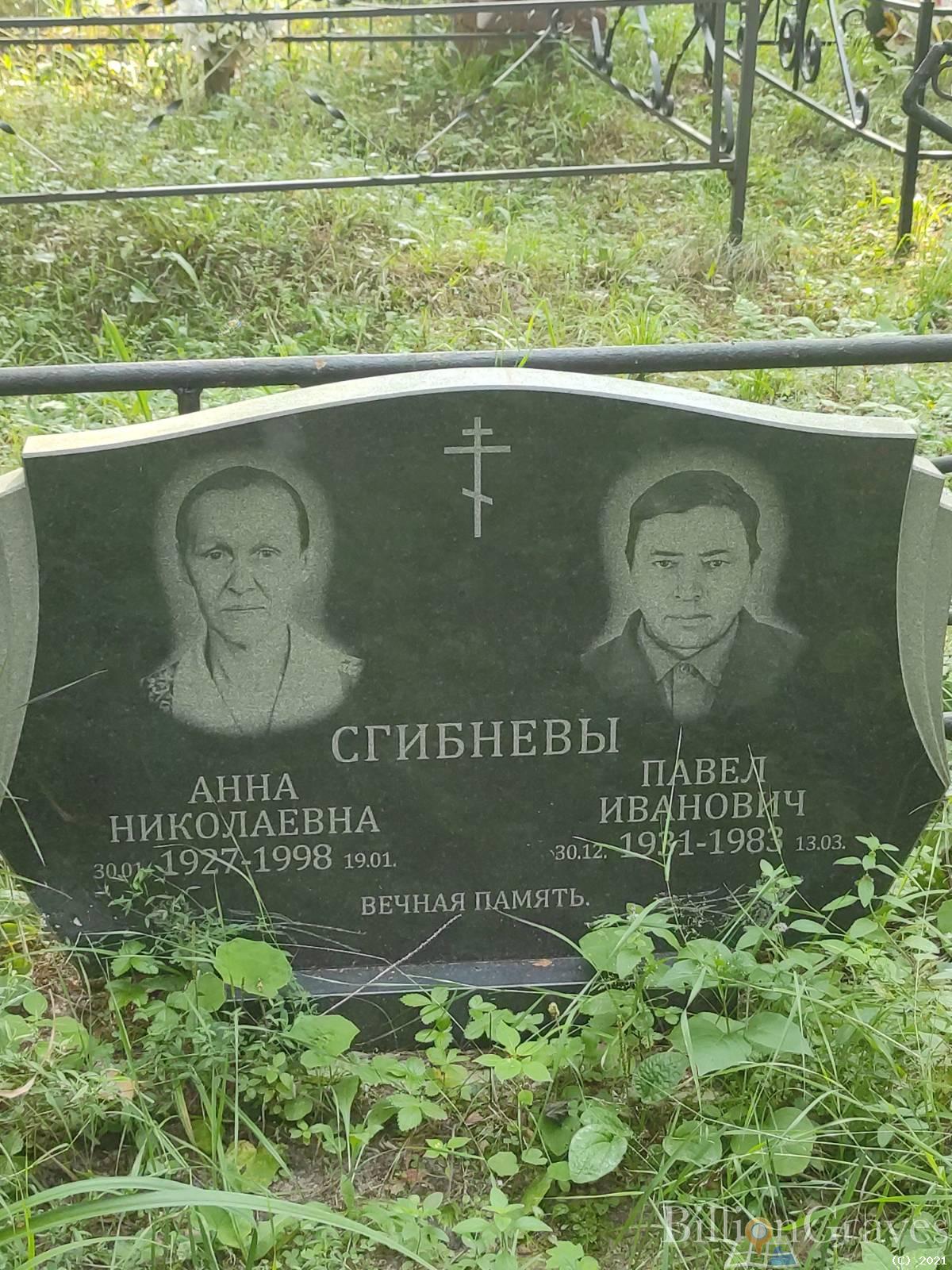 Сгибнева Анна Николаевна