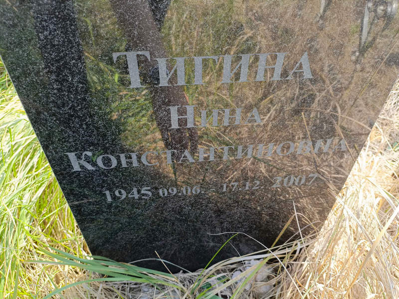 Тигина